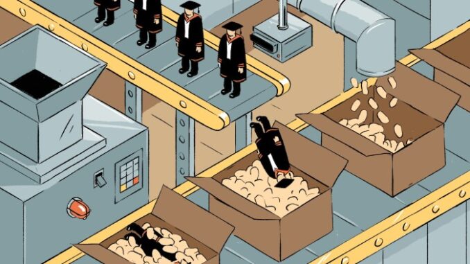 The case for universities