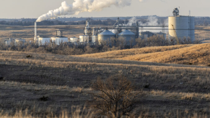 Biofuels policy has been a failure for the climate, new report claims