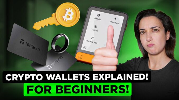 Crypto Wallets Explained! (Beginners' Guide!) 📲 🔑 (2025 Edition!) ⭐⭐⭐⭐⭐ Ultimate Step-by-Step! 😎