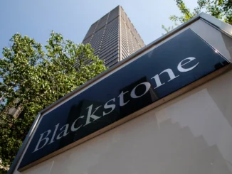 Ex-Blackstone Exec, Tether Co-Founder to Launch $1B Crypto Reserve SPAC