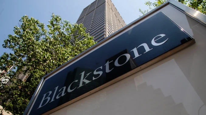 Ex-Blackstone Exec, Tether Co-Founder to Launch $1B Crypto Reserve SPAC
