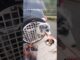 indian is not for beginners #ai #trending #youtubeshorts #viralvideo