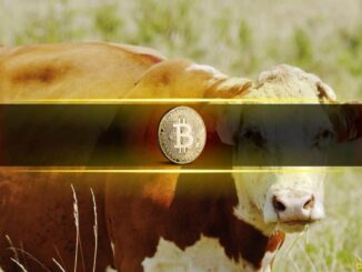 Bitcoin Stays Steady, But Momentum Flashes Bullish Signs: Bitfinex Alpha