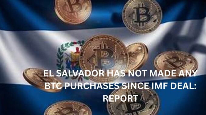 El Salvador has not made any BTC purchases since IMF deal: Report