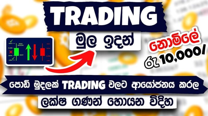 How To Invest In Cryptocurrencies For Beginners | Trading for beginners sinhala. Full Course