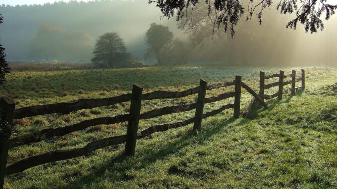 Illustrative image for article on private AI. "Fence" by foilman is licensed under CC BY-SA 2.0.