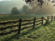 Illustrative image for article on private AI. "Fence" by foilman is licensed under CC BY-SA 2.0.