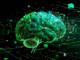 New AI architecture delivers 100x faster reasoning than LLMs with just 1,000 training examples