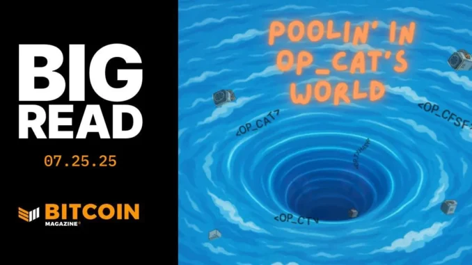 Pooling In OP-CAT's World