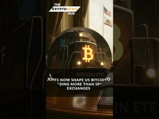 The Crypto News Hub
