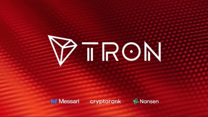 $916M revenue and $81B USDT supply in H1 2025
