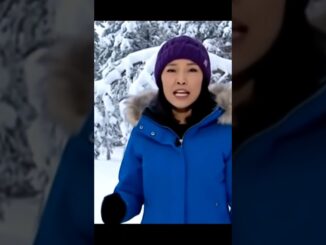 The AI NEWS video in the cool places and bear is also there.