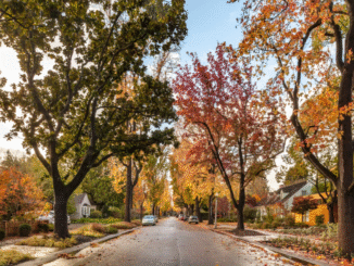 The hidden cost of living amid Mark Zuckerberg's $110M compound