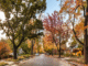 The hidden cost of living amid Mark Zuckerberg's $110M compound
