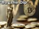 Bitfinex Whale Buys 300 $BTC Per Day During Crypto Market Crash