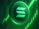 Can SOL Hold $207 Support?
