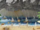 Duelbits Icon
