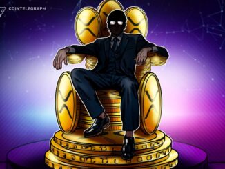 Who Owns the Most XRP in 2025? The Rich List Revealed