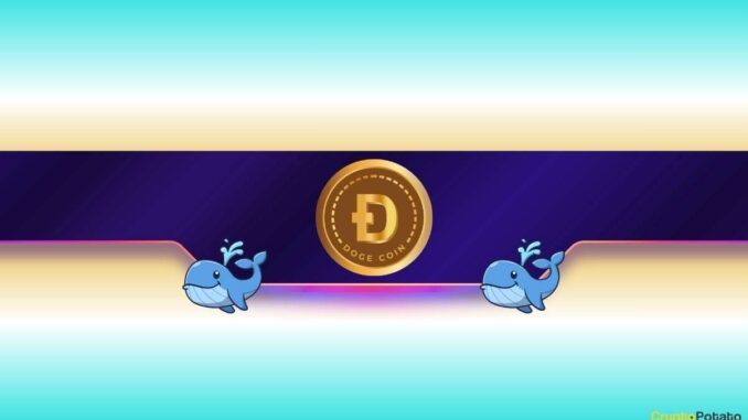 30,000,000 DOGE in Just 1 Day: Is Dogecoin Gearing up for Further Rally?