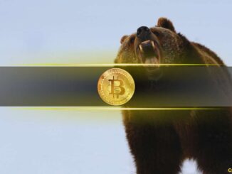 Analyst: Bitcoin Drop Near $101,700 Could Confirm a New Bear Market