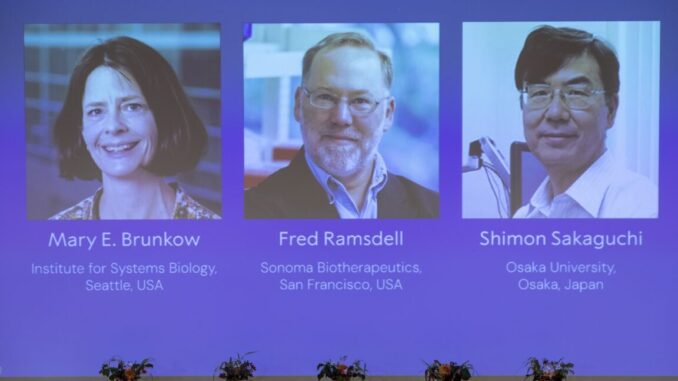 Discovery of cells that keep immune responses in check wins Discovery of cells that keep immune responses in check wins medicine Nobel Prize