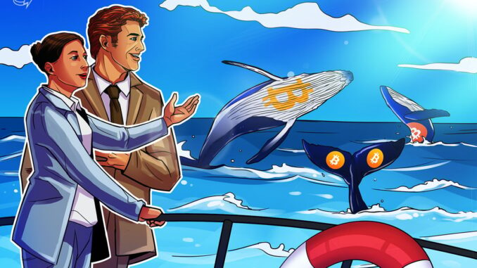 Whales Trade Bitcoin Keys for Comfort