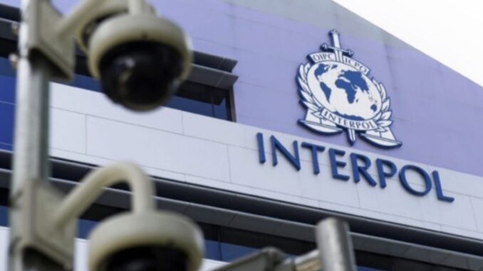 Interpol pushes for coordinated action against scam hubs running investment and crypto fraud