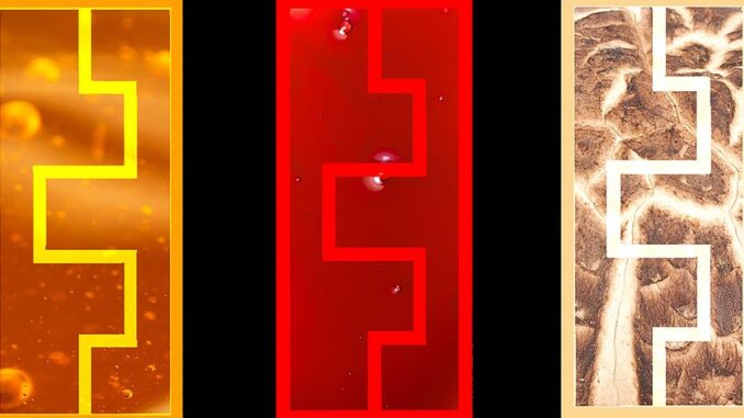 Memristor Materials: Exploring Unusual Sources