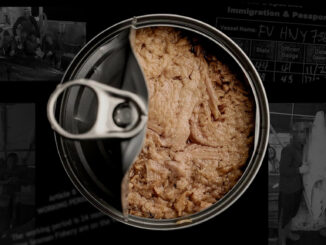 The dark truth behind supermarket tuna