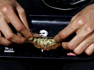 'Trump effect' raises hopes for cannabis rally