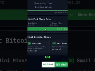 Bitcoin Halving Countdown & Solo Mining: Your Crypto Guide! #shorts