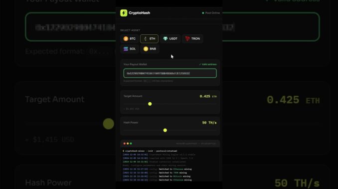 Do This Before The Next Bull Run (Crypto Mining Tutorial)