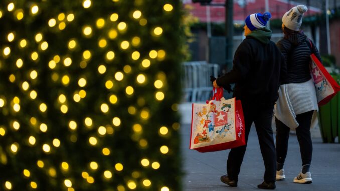 Strong holiday sales defy weak consumer sentiment