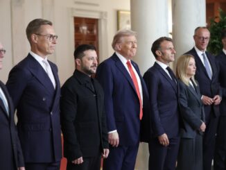 Trump criticism of European leaders as 'weak' comes at the worst time