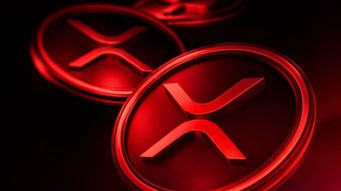 XRP ETFs post first day of outflows since November launch